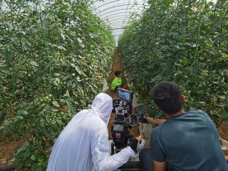 天桥区产品宣传视频拍摄公司进阶指南，助力品牌抢占传播高地